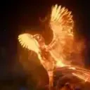 phoenix.eternal