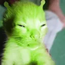 jayhasdiabetes