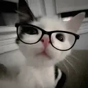 .0.y.