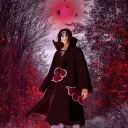 alejandra10100656 avatar