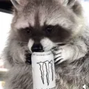 savethesunf1r3x