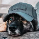 bleckwolf24