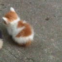 avatar 𝑦 𝑎 𝑟 𝑎 𝑟 𝑎 ₊˚ପ⊹