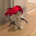 avatar ｙａｒａｒａ 🕷 ˚.⋆