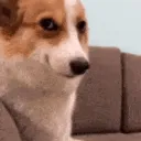 hellzdude_31256