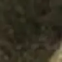 urkittenuwu7