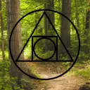 forestwizard22