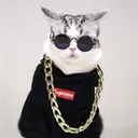 sisigmens