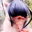 cashmaster_31361's Avatar