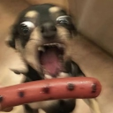 avatar ✨🧸BabyBratz🧸✨