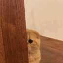 avatar Meliziana🌺