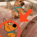 avatar Darkside 79eud