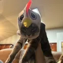 soulsded