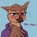 soovka_owl