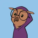 soovka_owl