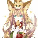 foxs113
