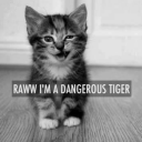 nssskwl