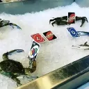 infinito0587_30793 avatar