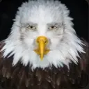 moukycoo