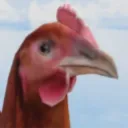 madmatheus12_90670 avatar