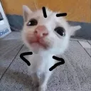 excrossgaming avatar