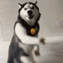 cam.devs
