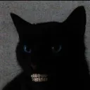 b0nett1.