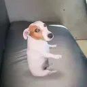 kishiest