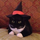 orannge_peal's Avatar