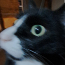 orannge_peal's Avatar