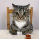 maxtwince