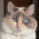 avatar Alicia