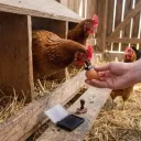 bloxfruit0543 avatar