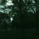 waytooblxtzy