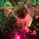 avatar only live twice