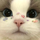 avatar Yun