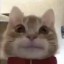 tclwastaken