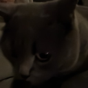 avatar codeine crazy