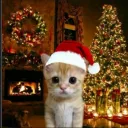 Аватар wury226