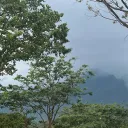 emannuelvic