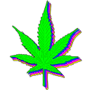 Bud-get