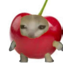 avatar 𝐒𝐮𝐤𝐢𝐢𝐢