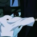 slinktheferret040525