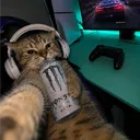 sololaylow
