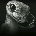 avatar ʟ ᴜ ɴ ᴀ ʀ