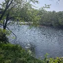 milo_0220