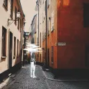 literary_noiseless