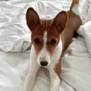 nurssssky