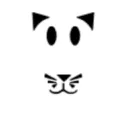 Аватар ww228skira