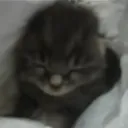 mugmfan_